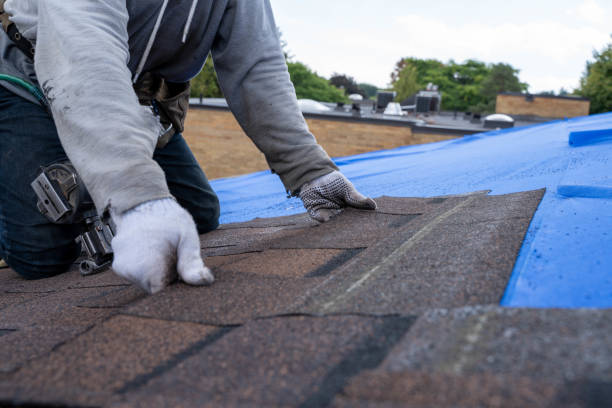Best Storm Damage Roof Repair  in Plantsville, CT